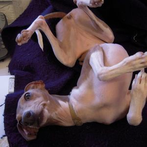 Meet your Posher, Andrea